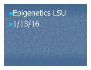 Epigenetics LSU 1/13/16