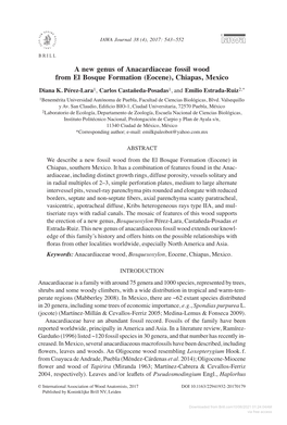 Eocene Journal Anacardiaceae 38 (4), 2017: 543–552From Chiapas, Mexico 543