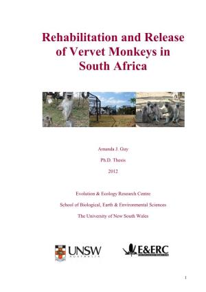 Rehabilitation and Release of Vervet Monkeys in South Africa