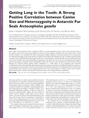 A Strong Positive Correlation Between Canine Size and Heterozygosity in Antarctic Fur Seals Arctocephalus Gazella Downloaded from JOSEPH I