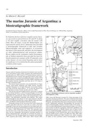 The Marine Jurassic of Argentina: a Biostratigraphic Framework