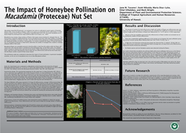 Macadamia Pollination