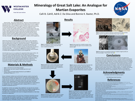 Mineralogy of Great Salt Lake: an Analogue for Martian Evaporites Calli B