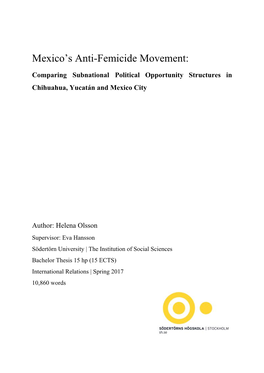 Mexico's Anti-Femicide Movement