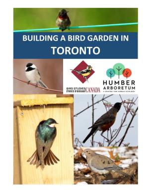 Building a Bird Garden in Toronto