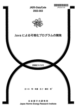 Visualization Program Development Using Java