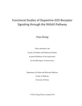 Functional Studies of Dopamine-D2S Receptor Signaling Through the RASA3 Pathway