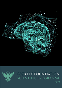 Beckley Foundation Lsd Research Programme