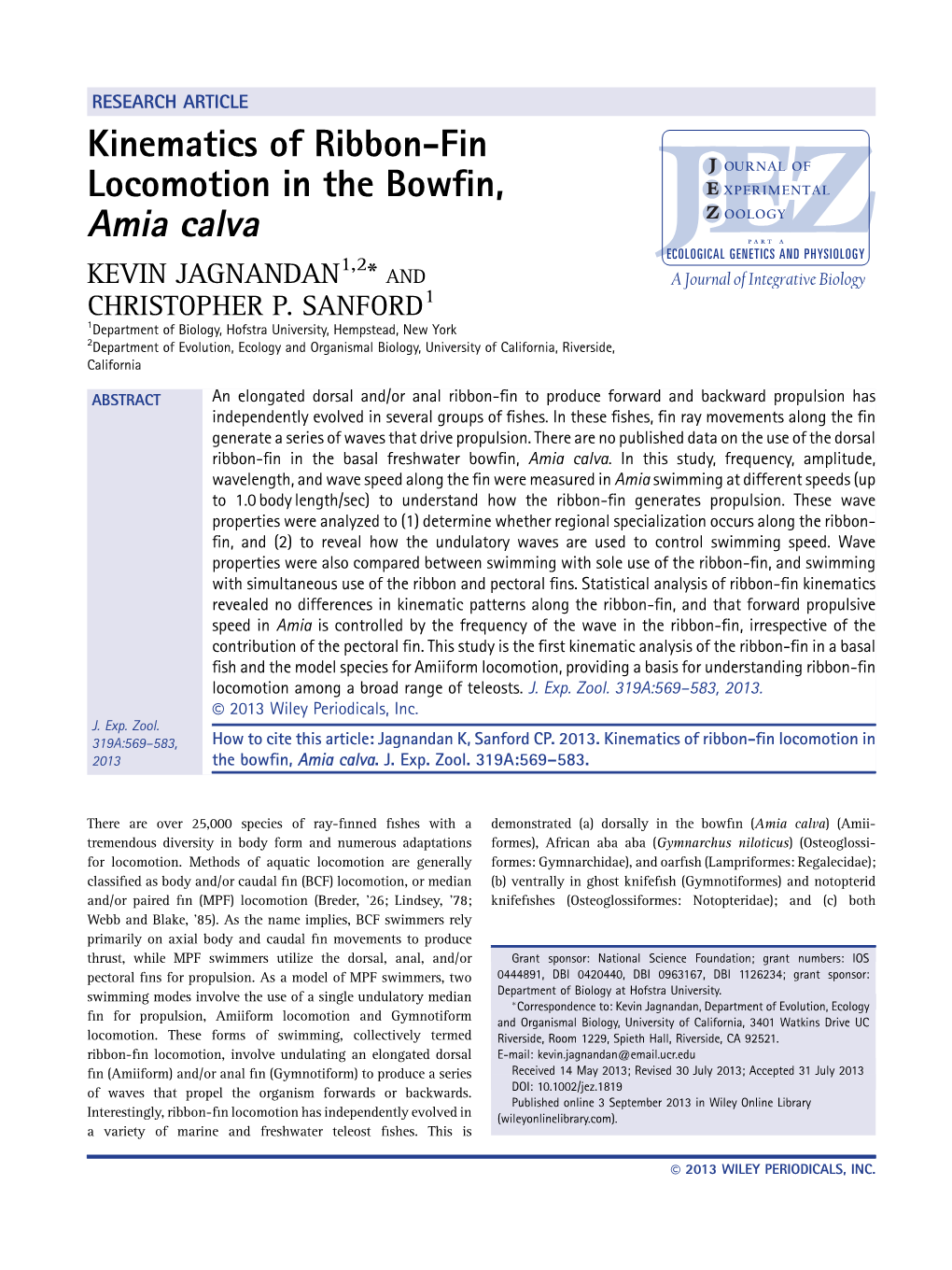 Kinematics of Ribbonfin Locomotion in the Bowfin, Amia Calva