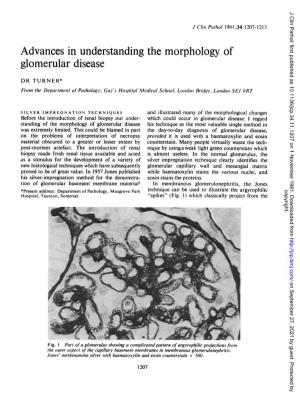 Advances in Understanding the Morphology of Glomerular Disease