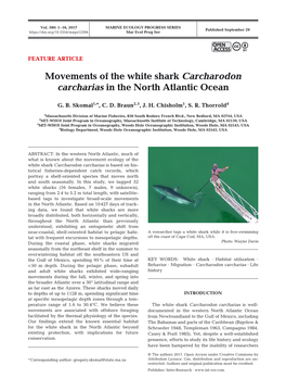 Movements of the White Shark Carcharodon Carcharias in the North Atlantic Ocean