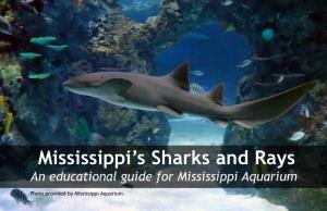 Mississippi's Sharks and Rays an Educational Guide for Mississippi