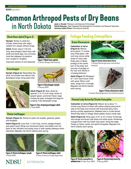 Common Arthropod Pests of Dry Beans in North Dakota (E2023)