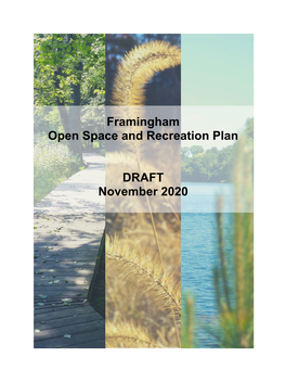 Framingham Open Space and Recreation Plan DRAFT November