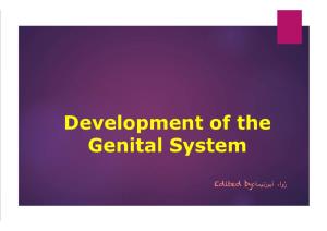 Development of the Genital System Development of the Gonads