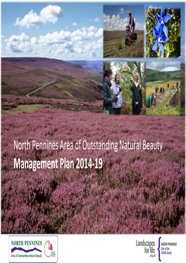 North Pennines AONB Management Plan