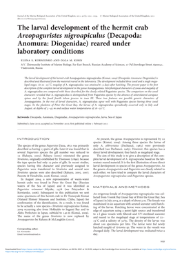 The Larval Development of the Hermit Crab Areopaguristes Nigroapiculus (Decapoda: Anomura: Diogenidae) Reared Under Laboratory Conditions Elena S