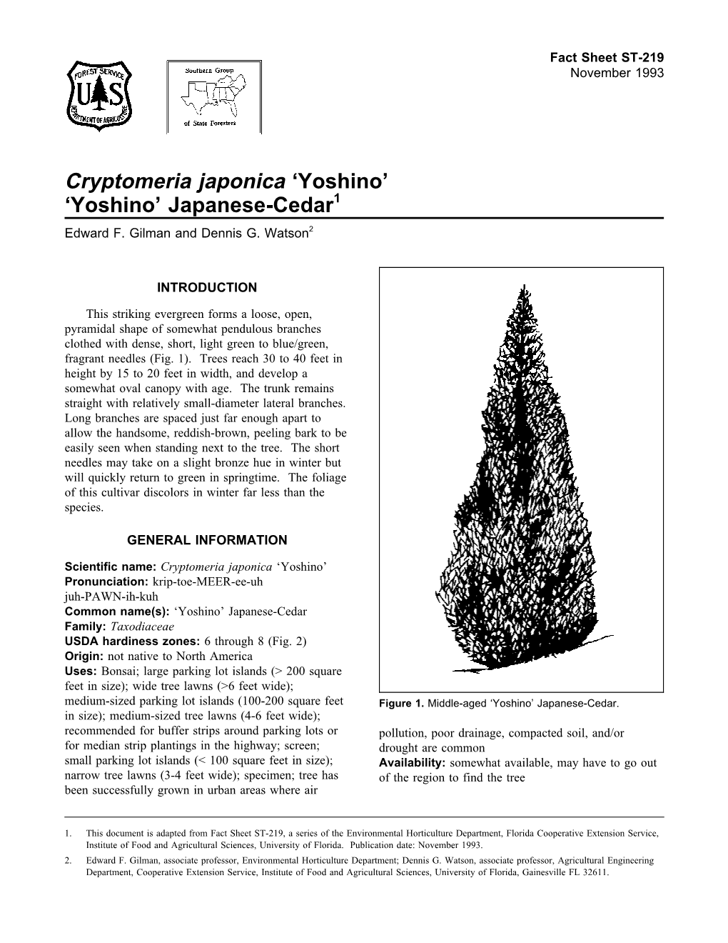 Cryptomeria Japonica ‘Yoshino’ ‘Yoshino’ Japanese-Cedar1 Edward F