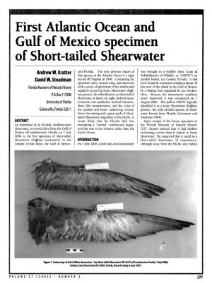 First Atlantic Ocean and Gulf of Mexico Specimen of Short-Tailed Shearwater