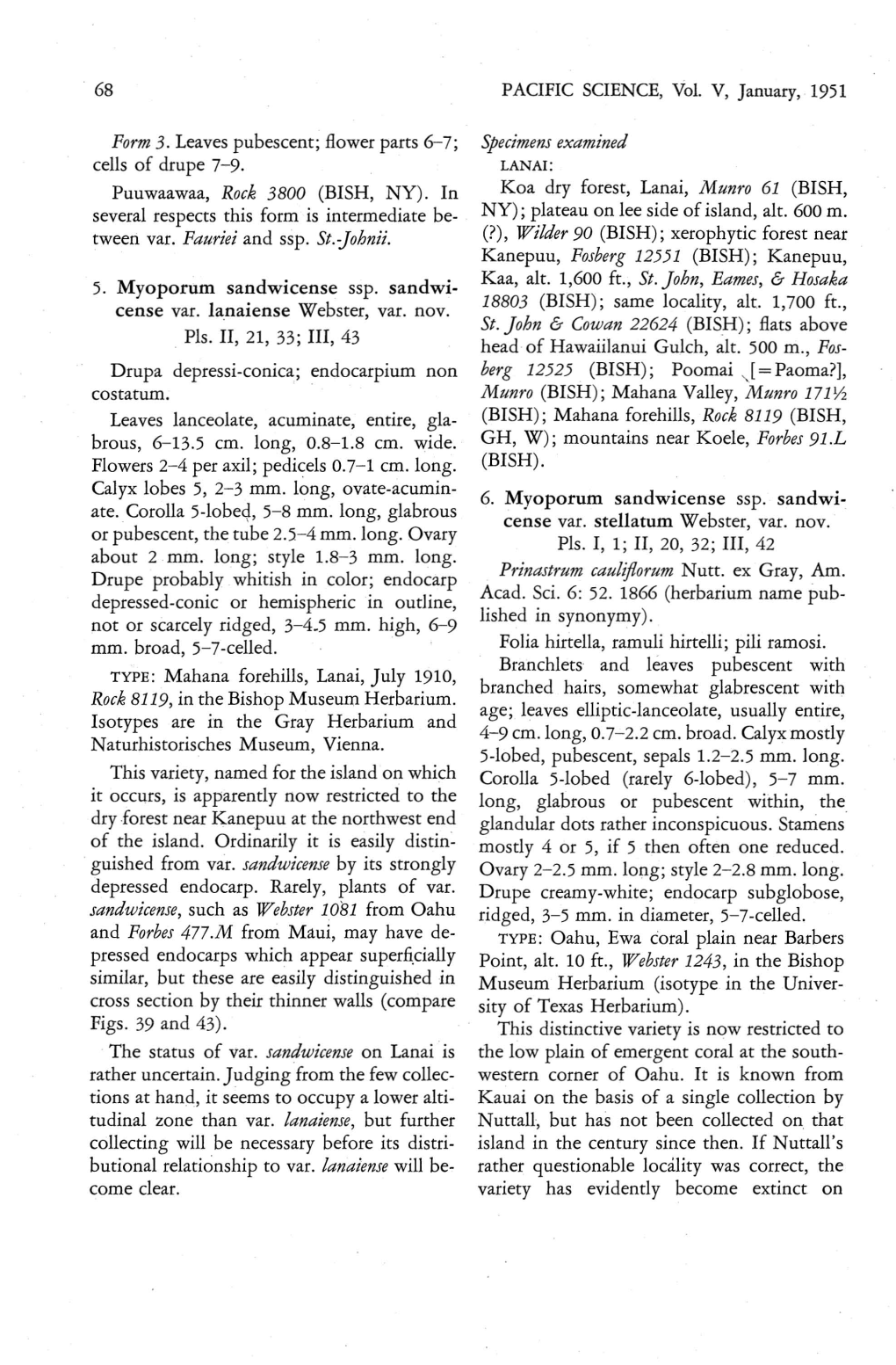 Sandwicense, Such As Webster 1081 from Oahu Specimens Examined