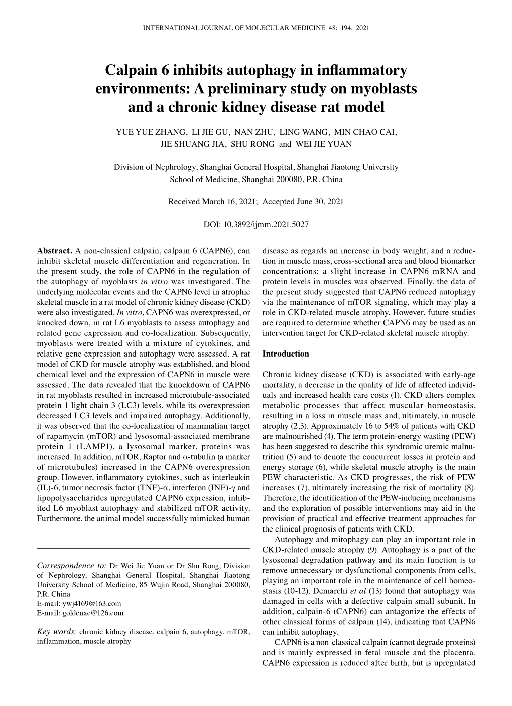 Calpain 6 Inhibits Autophagy in Inflammatory Environments: a Preliminary Study on Myoblasts and a Chronic Kidney Disease Rat Model