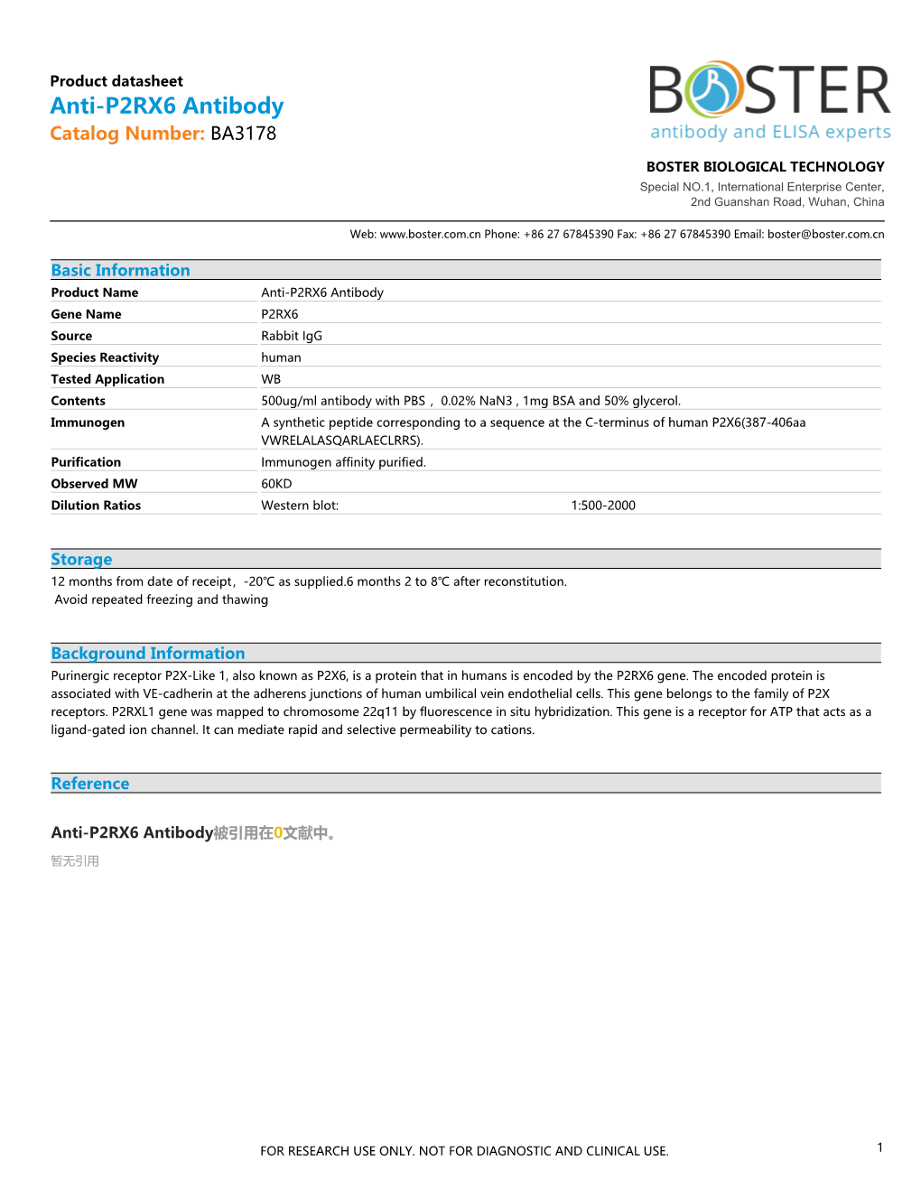 Datasheet BA3178 Anti-P2RX6 Antibody