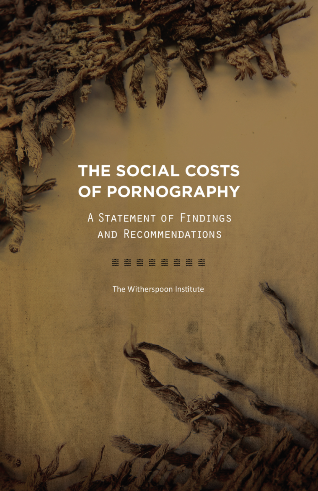THE Social Costs of Pornography a Statement of Findings and Recommendations