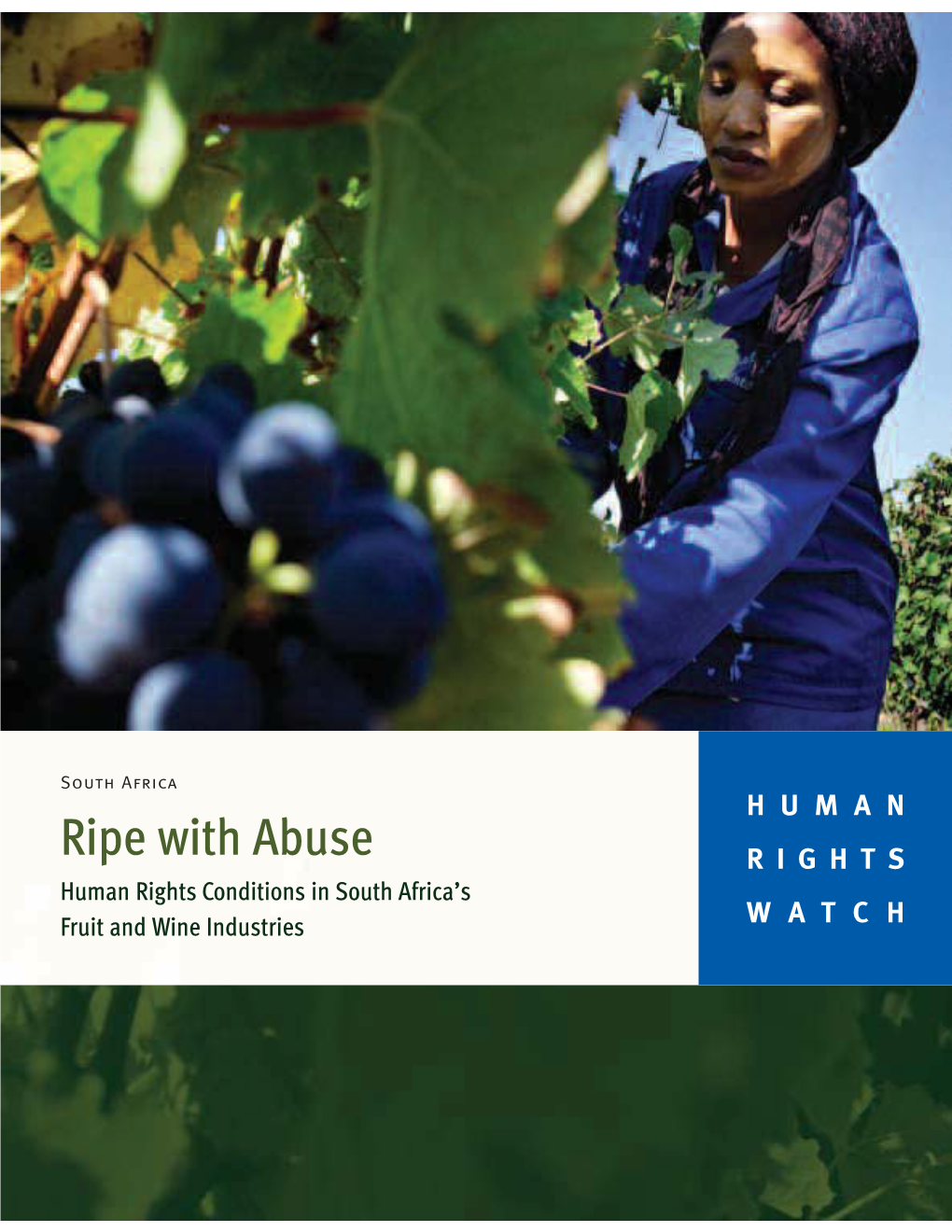 Ripe with Abuse Human Rights Conditions in South Africa's Fruit