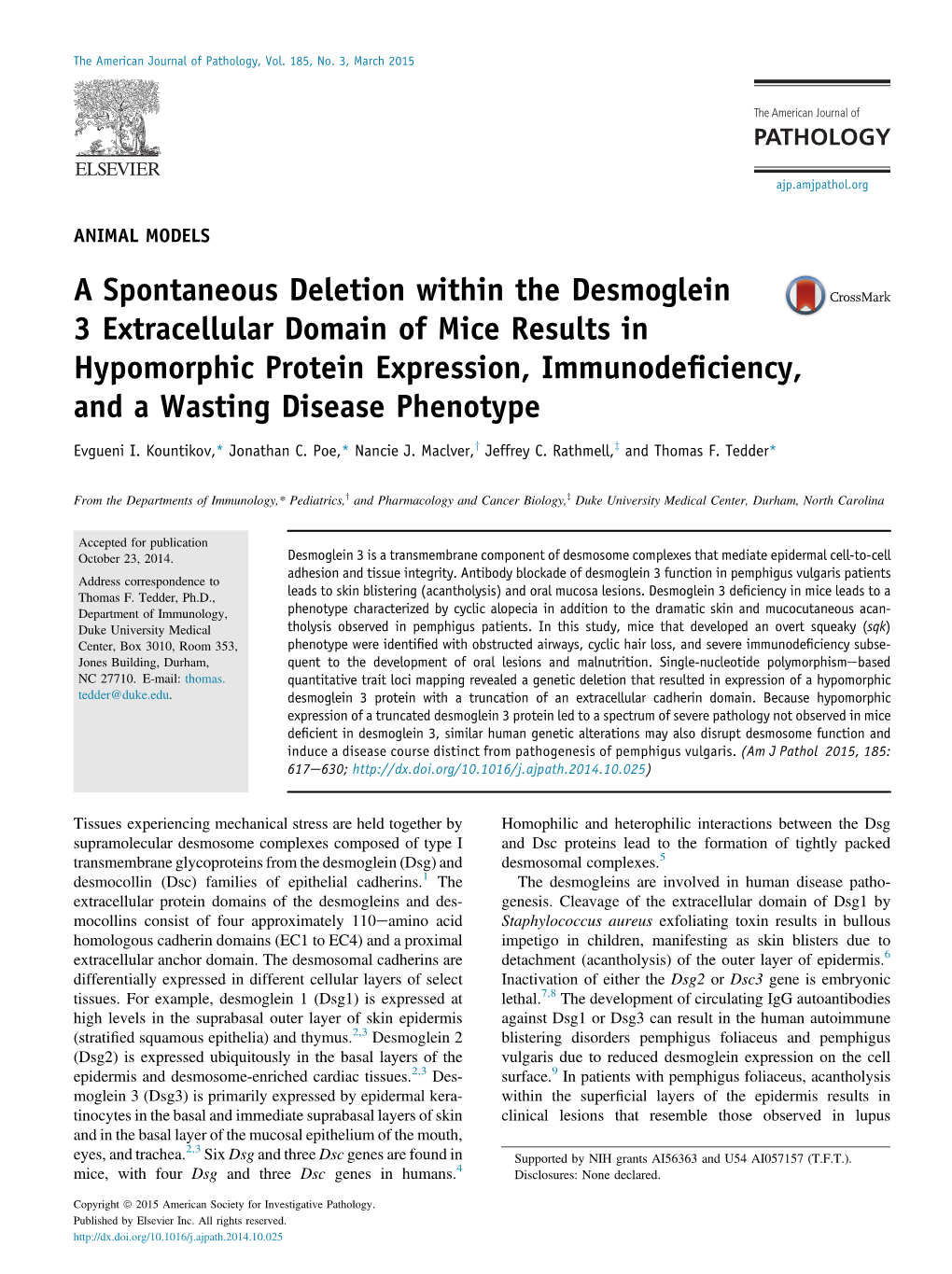 A Spontaneous Deletion Within the Desmoglein 3 Extracellular Domain