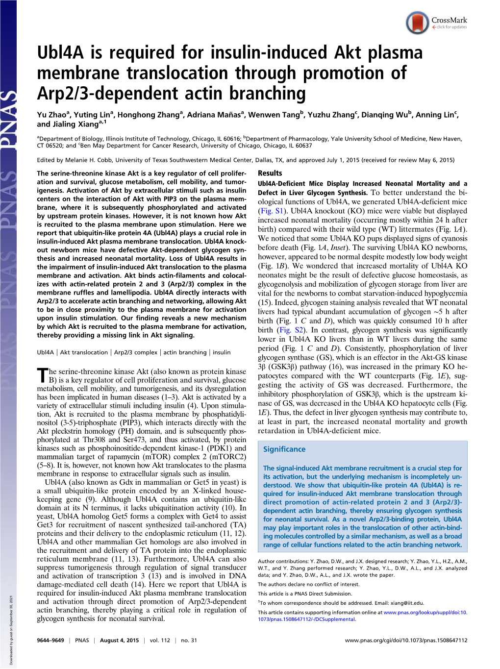 Ubl4a Is Required for Insulin-Induced Akt Plasma Membrane Translocation Through Promotion of Arp2/3-Dependent Actin Branching