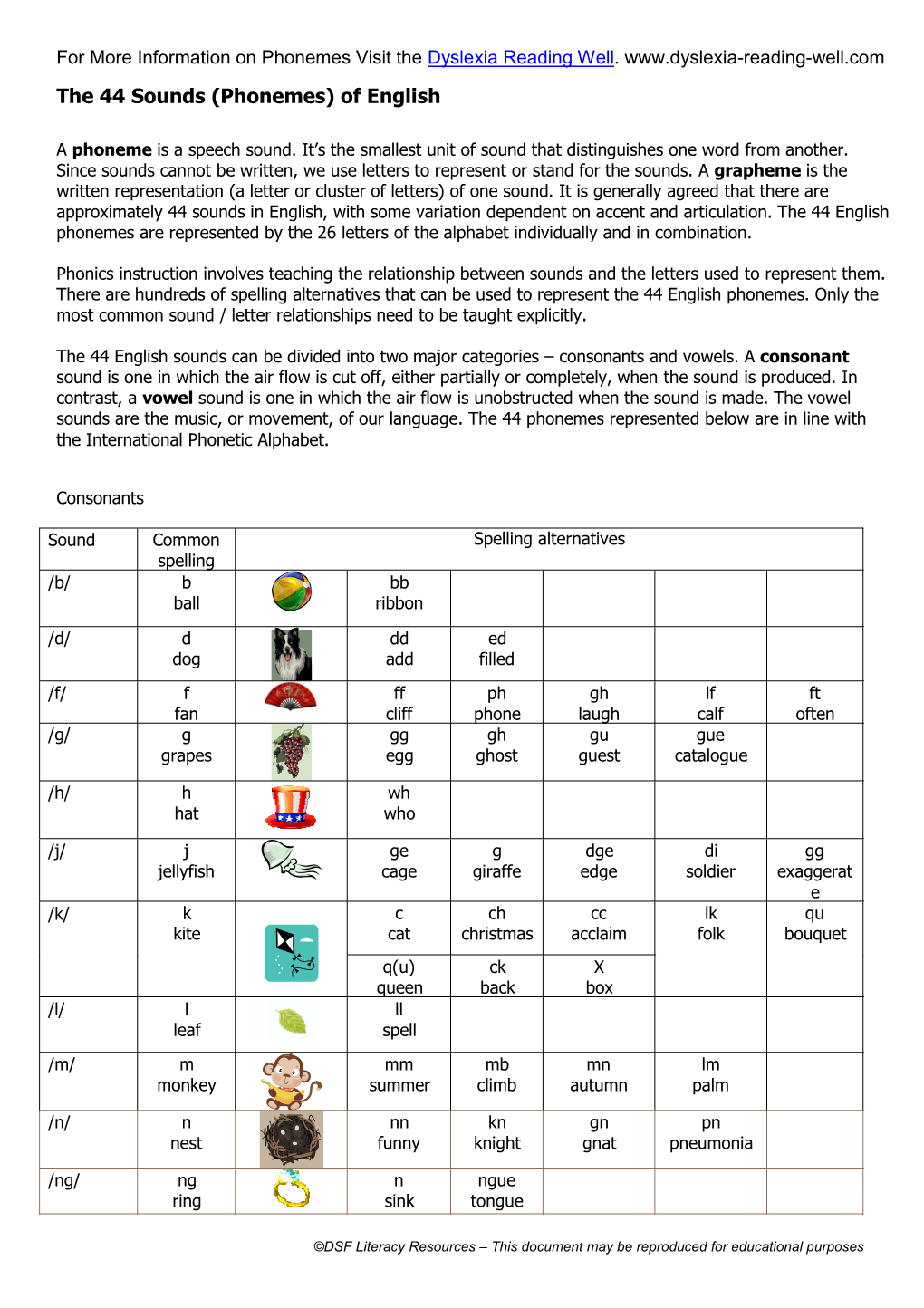 Phonemes Visit the Dyslexia Reading Well