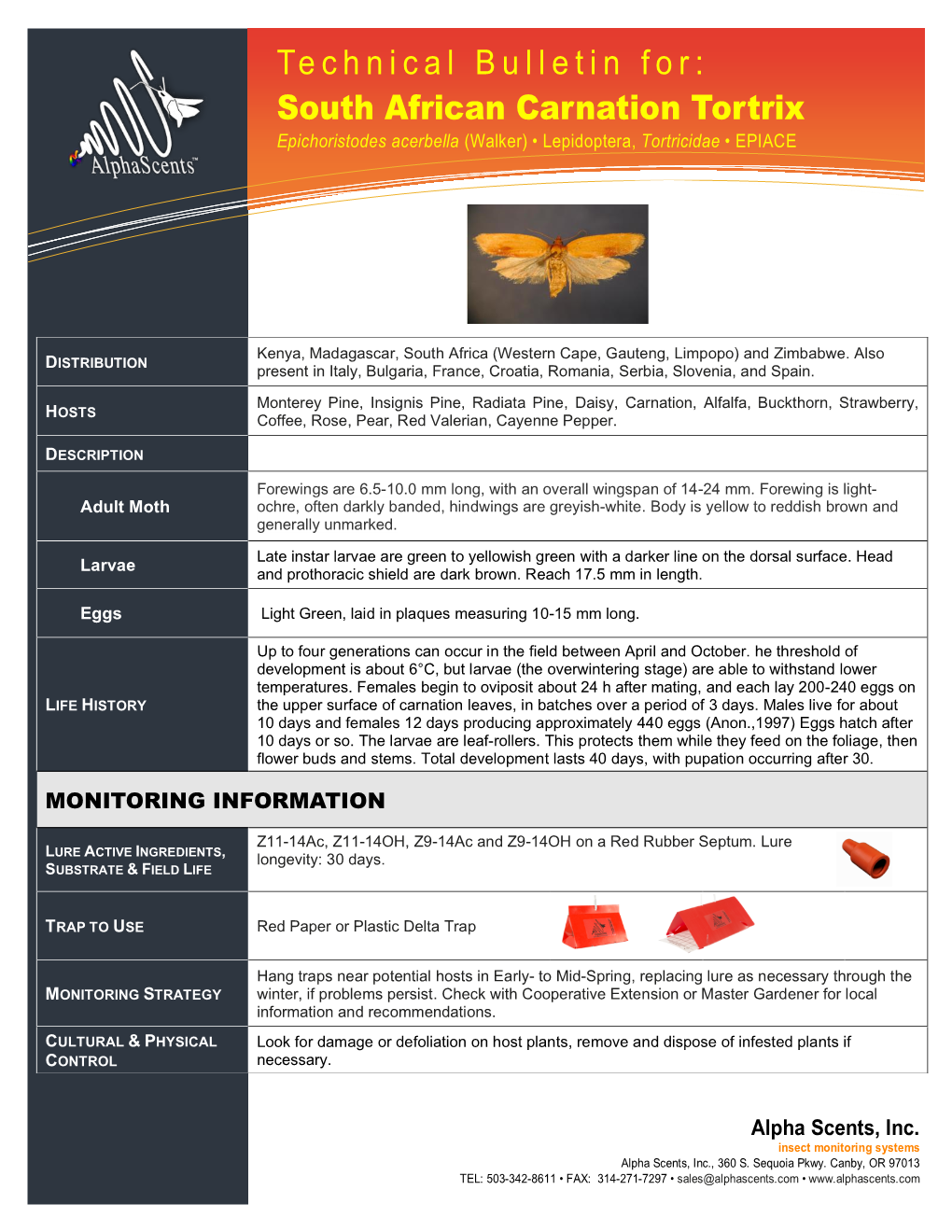 Technical Bulletin For: Information Technology Solutions South African Carnation Tortrix Epichoristodes Acerbella (Walker) • Lepidoptera, Tortricidae • EPIACE