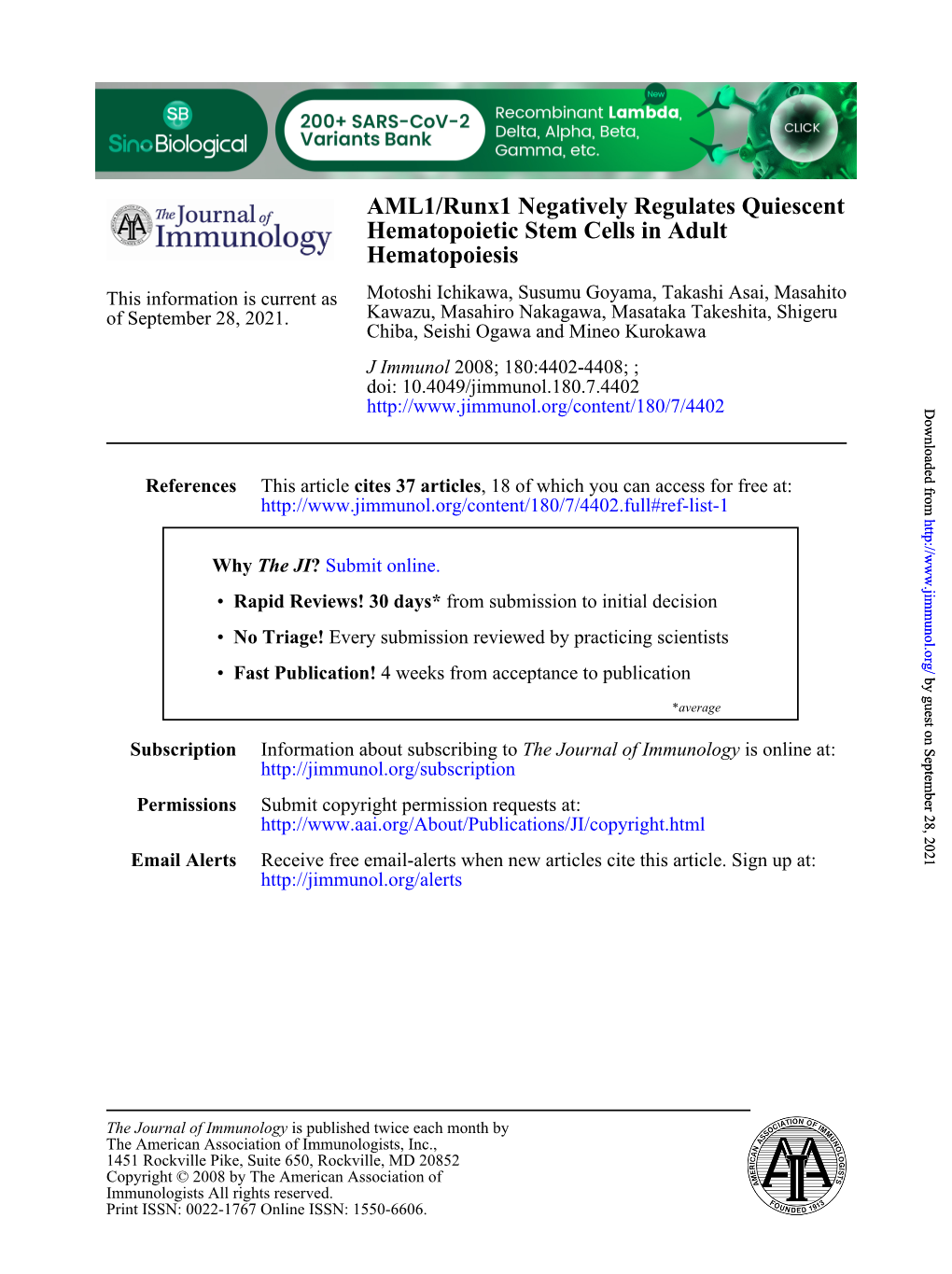 Hematopoiesis Hematopoietic Stem Cells in Adult AML1/Runx1 Negatively Regulates Quiescent