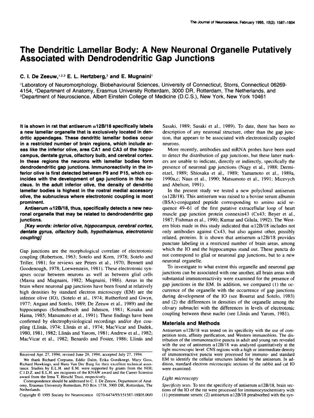 The Dendritic Lamellar Body: a New Neuronal Organelle Putatively Associated with Dendrodendritic Gap Junctions