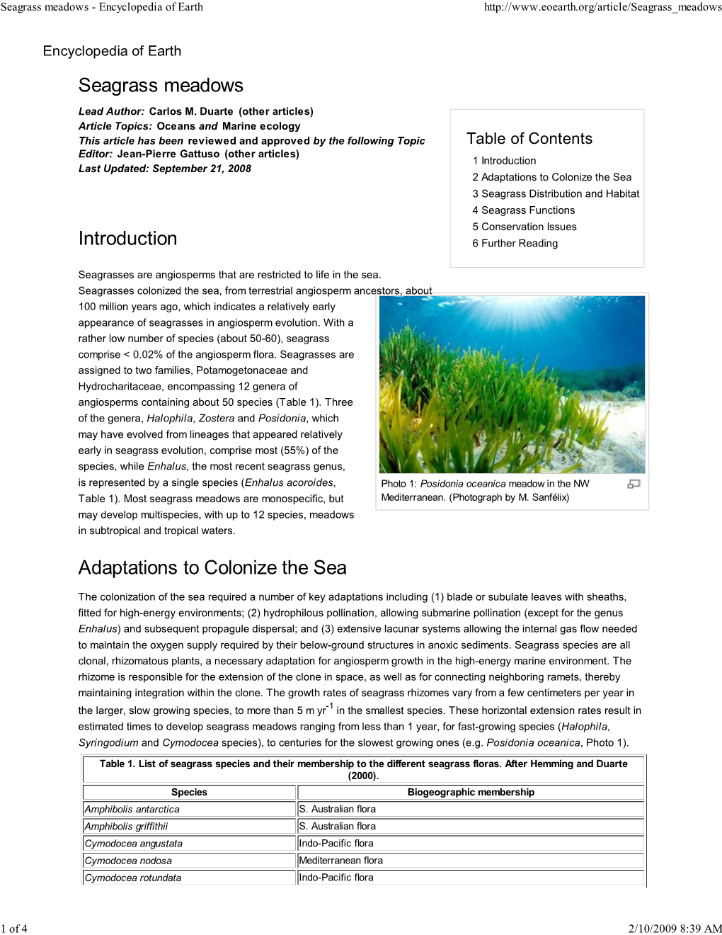 Seagrass Meadows - Encyclopedia of Earth