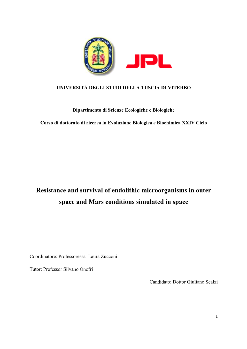 Resistance and Survival of Endolithic Microorganisms in Outer Space and Mars Conditions Simulated in Space