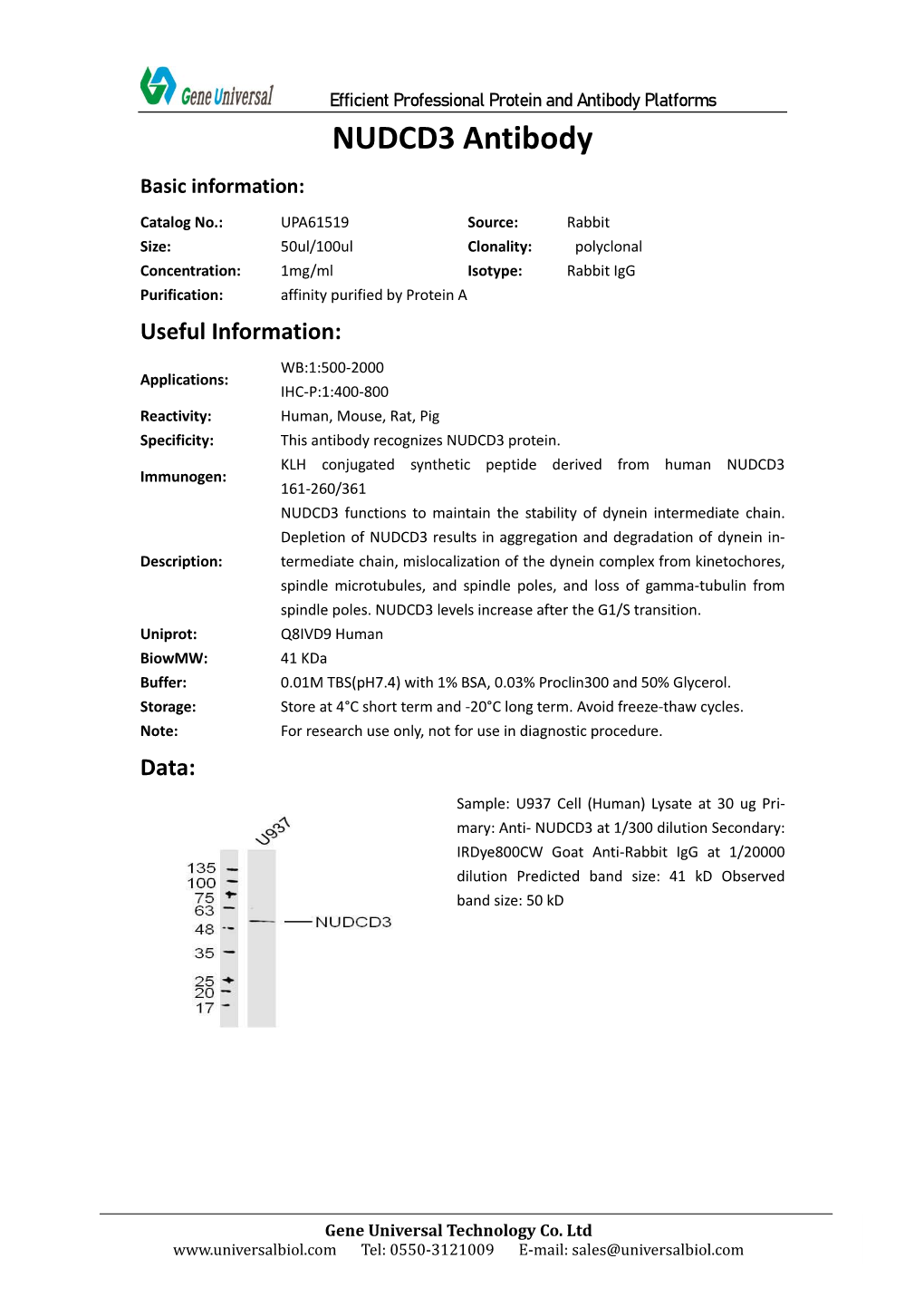 NUDCD3 Antibody