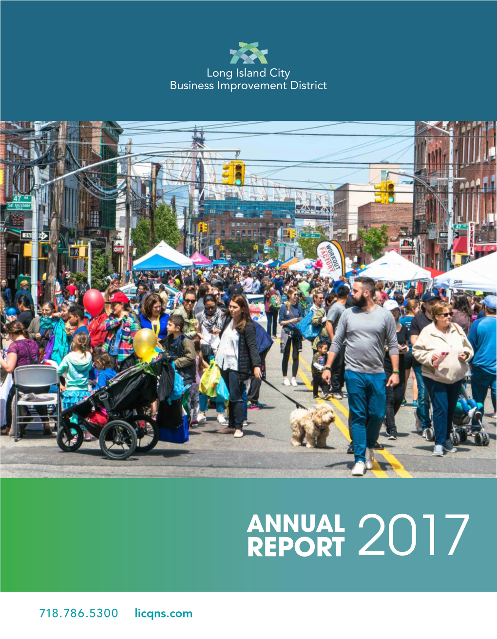 2017 LIC BID Annual Report View Report