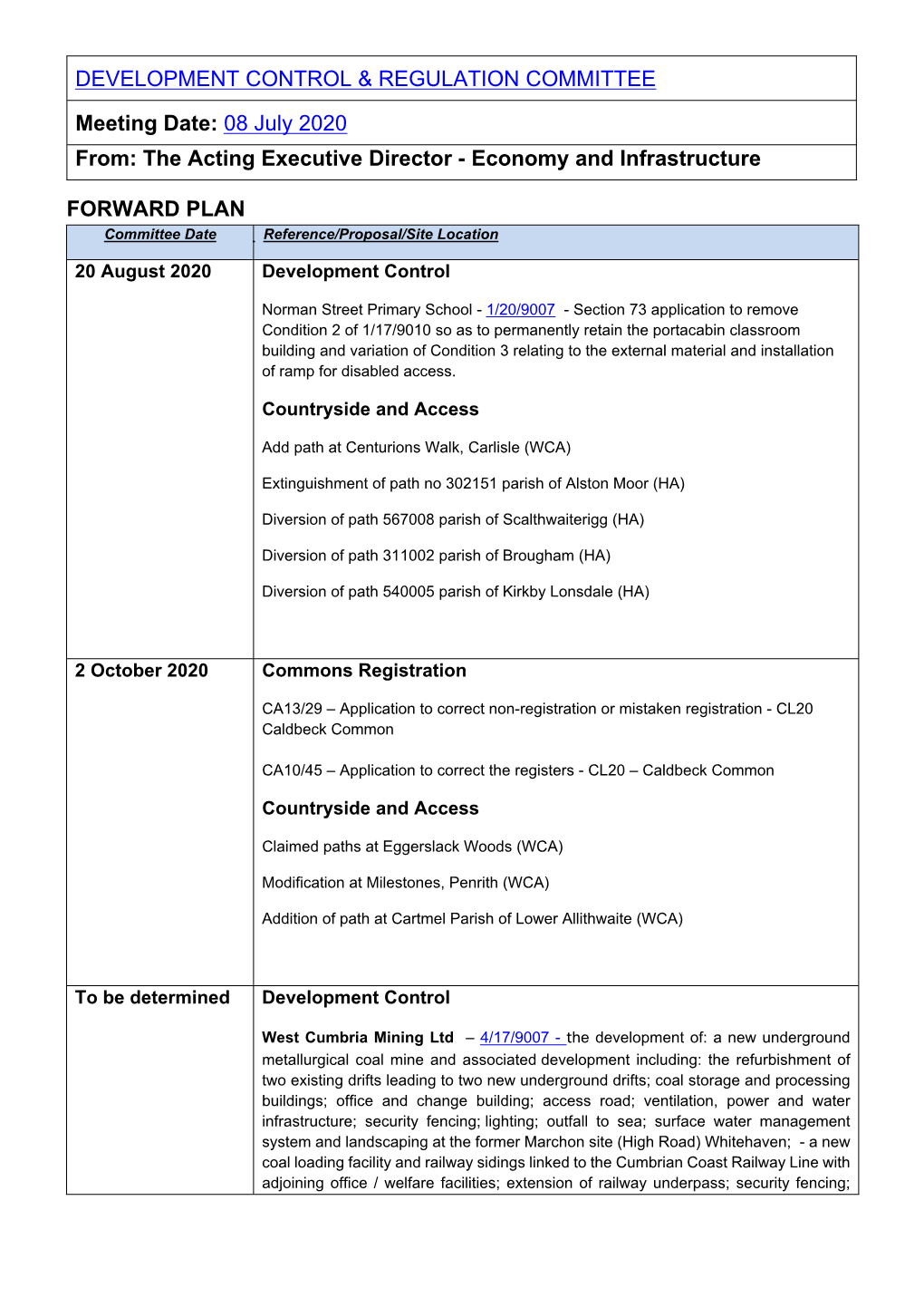 The Acting Executive Director - Economy and Infrastructure