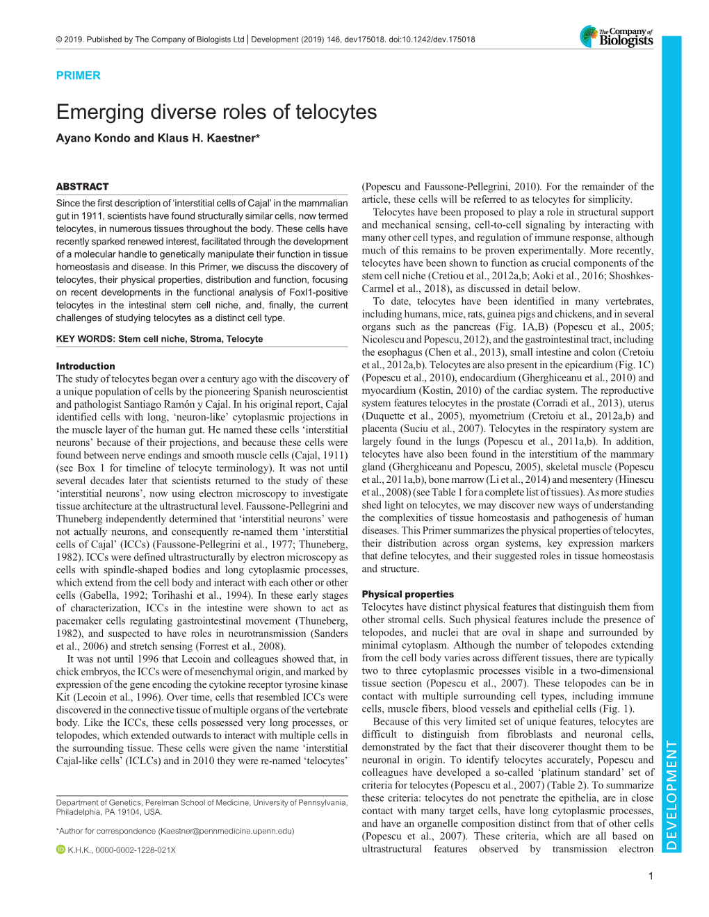 Emerging Diverse Roles of Telocytes Ayano Kondo and Klaus H