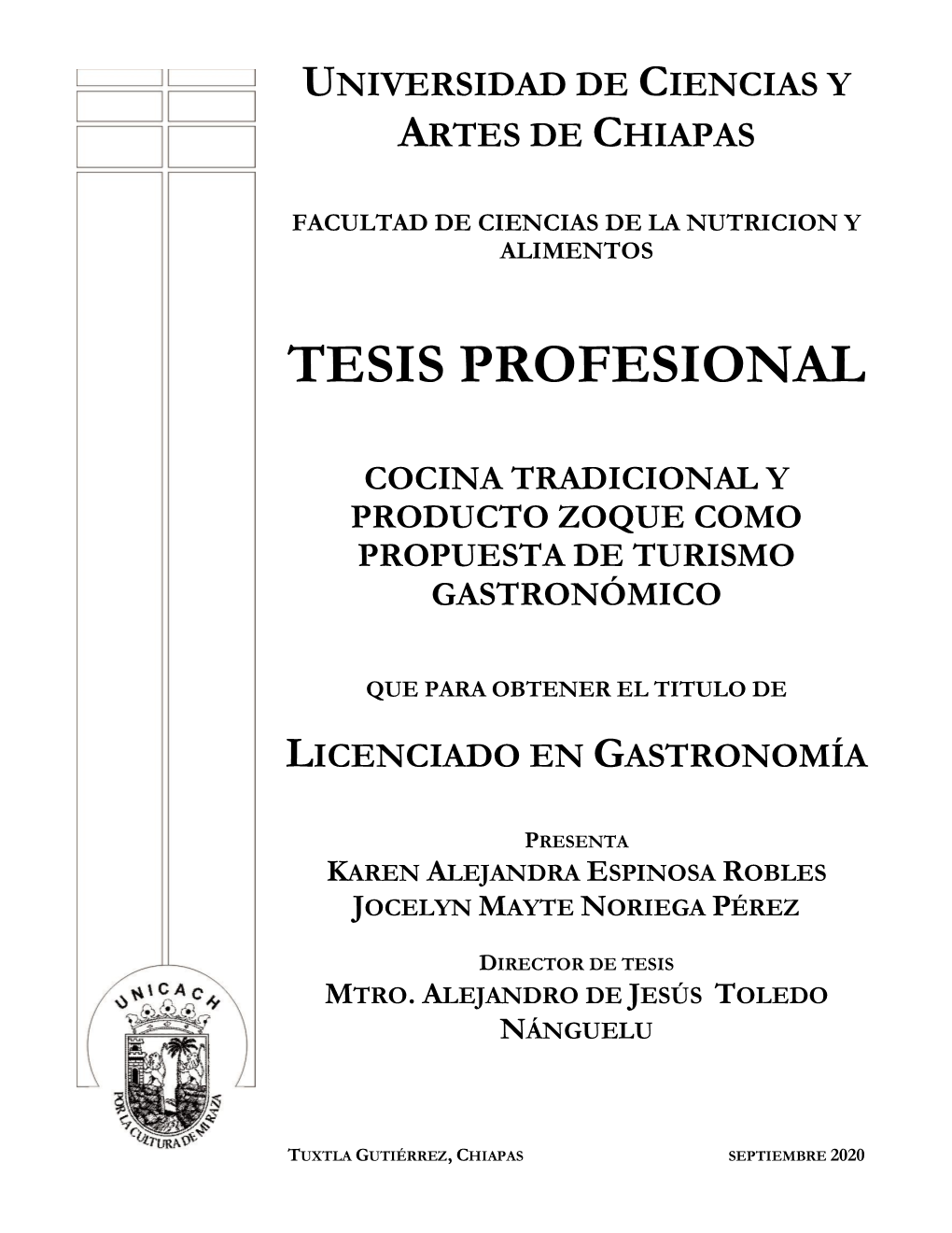 Tesis Profesional