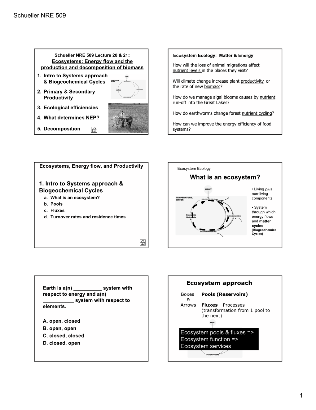 Schueller NRE 509 1 What Is an Ecosystem?