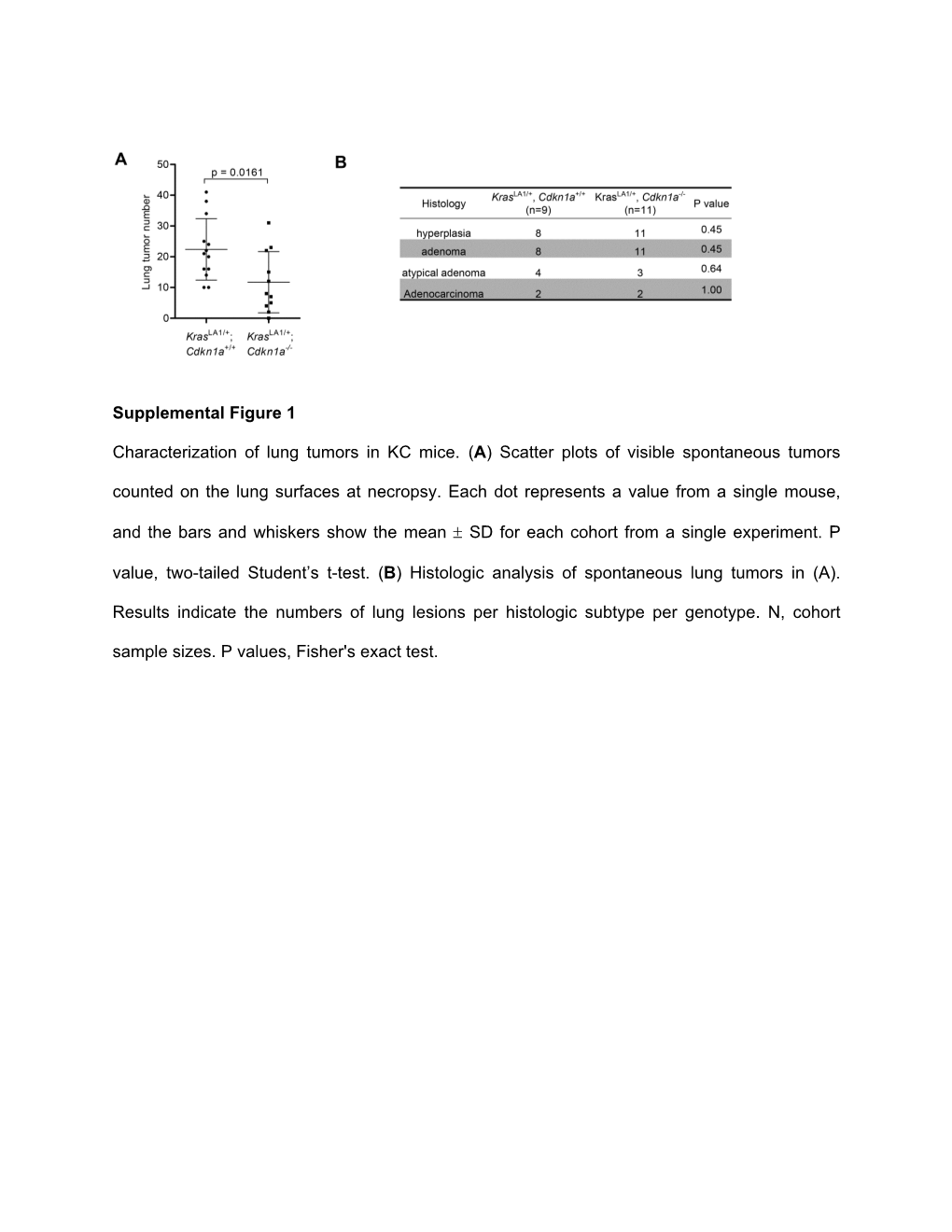 Supplemental Figure 1 Characterization of Lung Tumors In