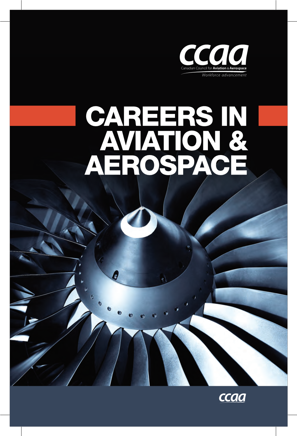 Careers in Aviation & Aerospace