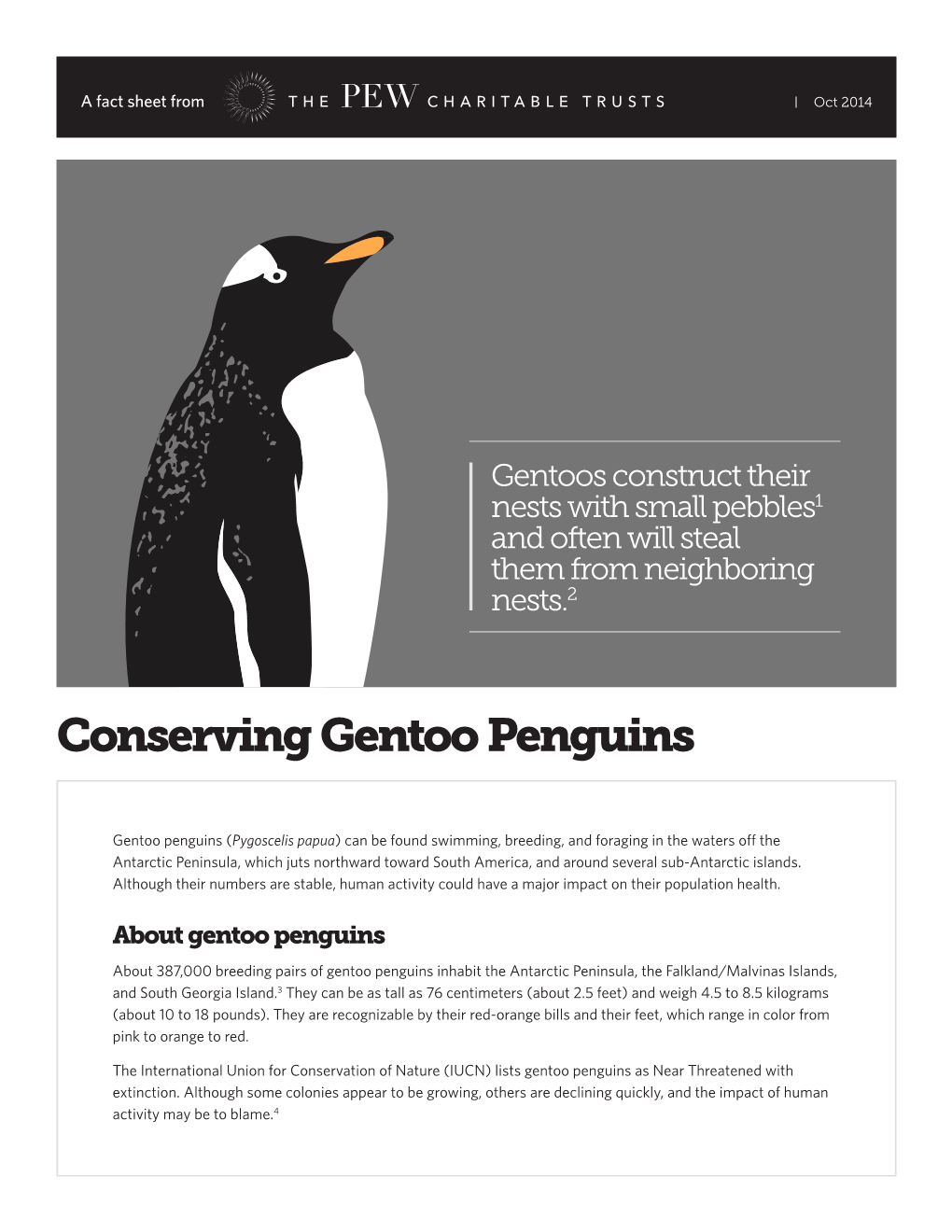 Conserving Gentoo Penguins Fact Sheet