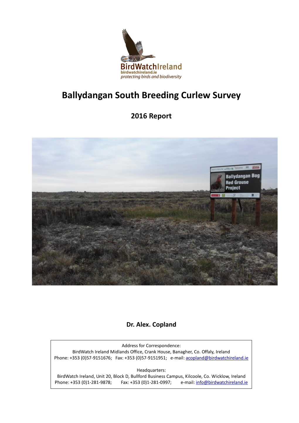 Ballydangan South Breeding Curlew Survey