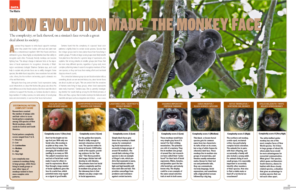 How Evolution Made the Monkey Face