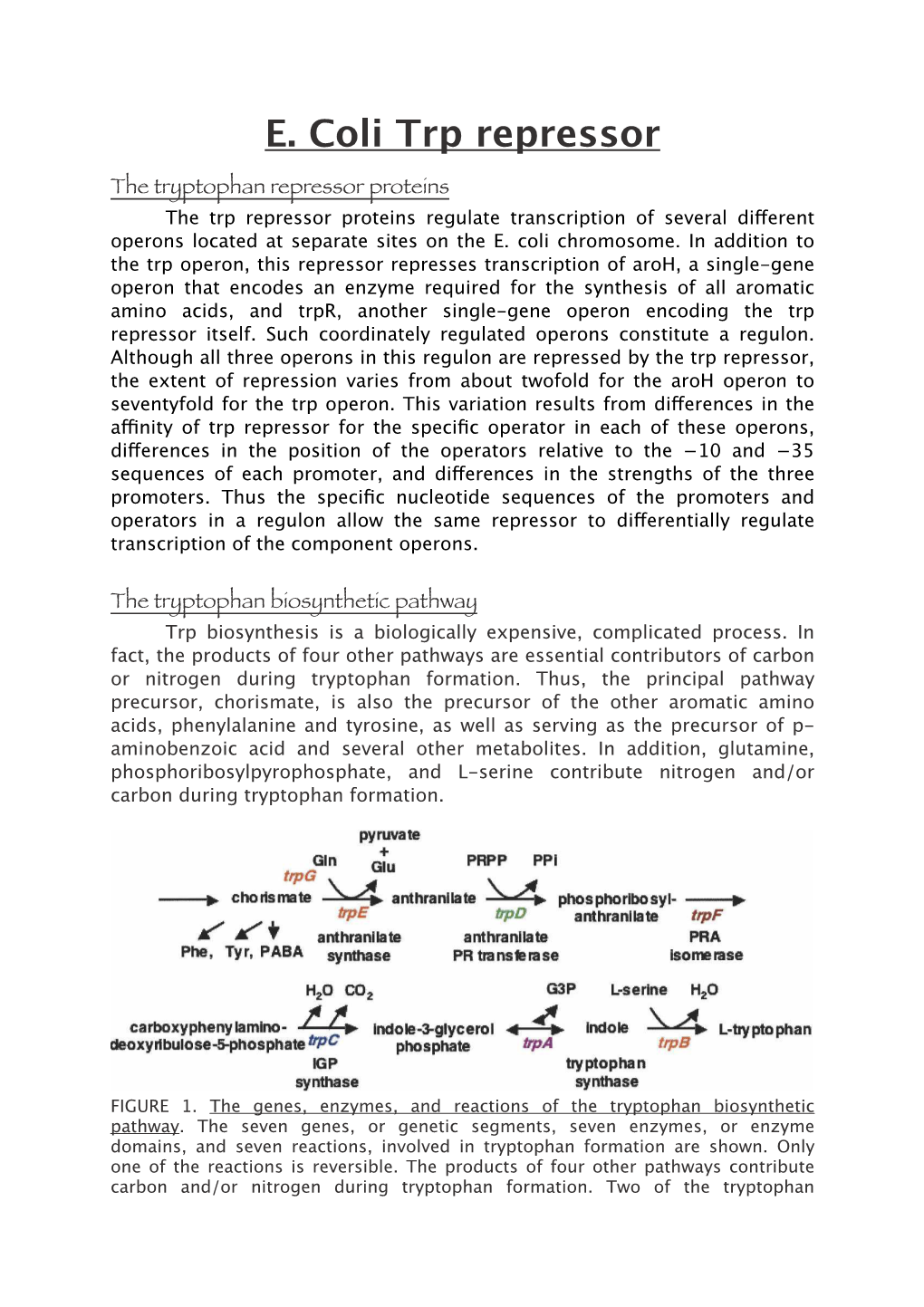 The Tryptophan Biosynthetic Pathway Trp Biosynthesis Is a Biologically Expensive, Complicated Process