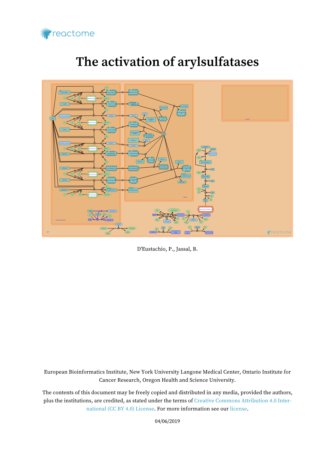 The Activation of Arylsulfatases