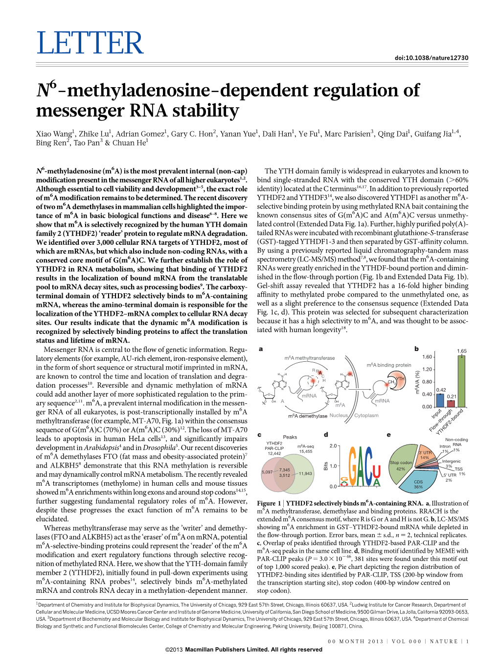 N6-Methyladenosine-Dependent Regulation of Messenger RNA Stability